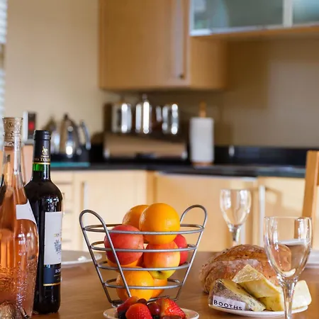 Underscar - High Spy *